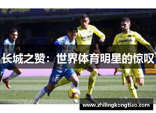 长城之赞：世界体育明星的惊叹